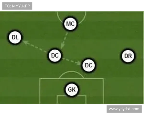 杭州排球队在世界杯中的战术表现分析与点评探讨